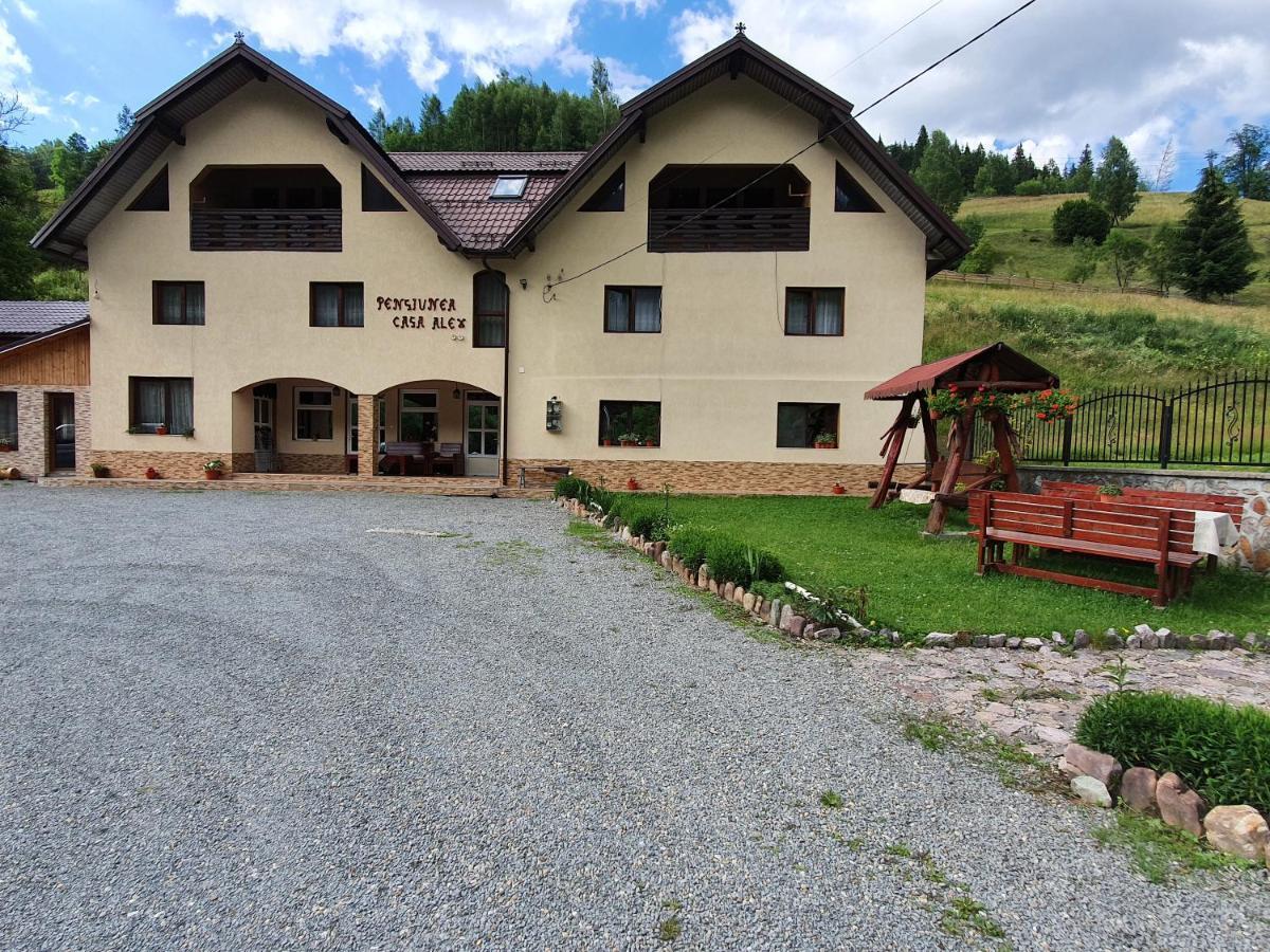 Pensiune Agroturistica Casa Alex Baba Bagian luar foto